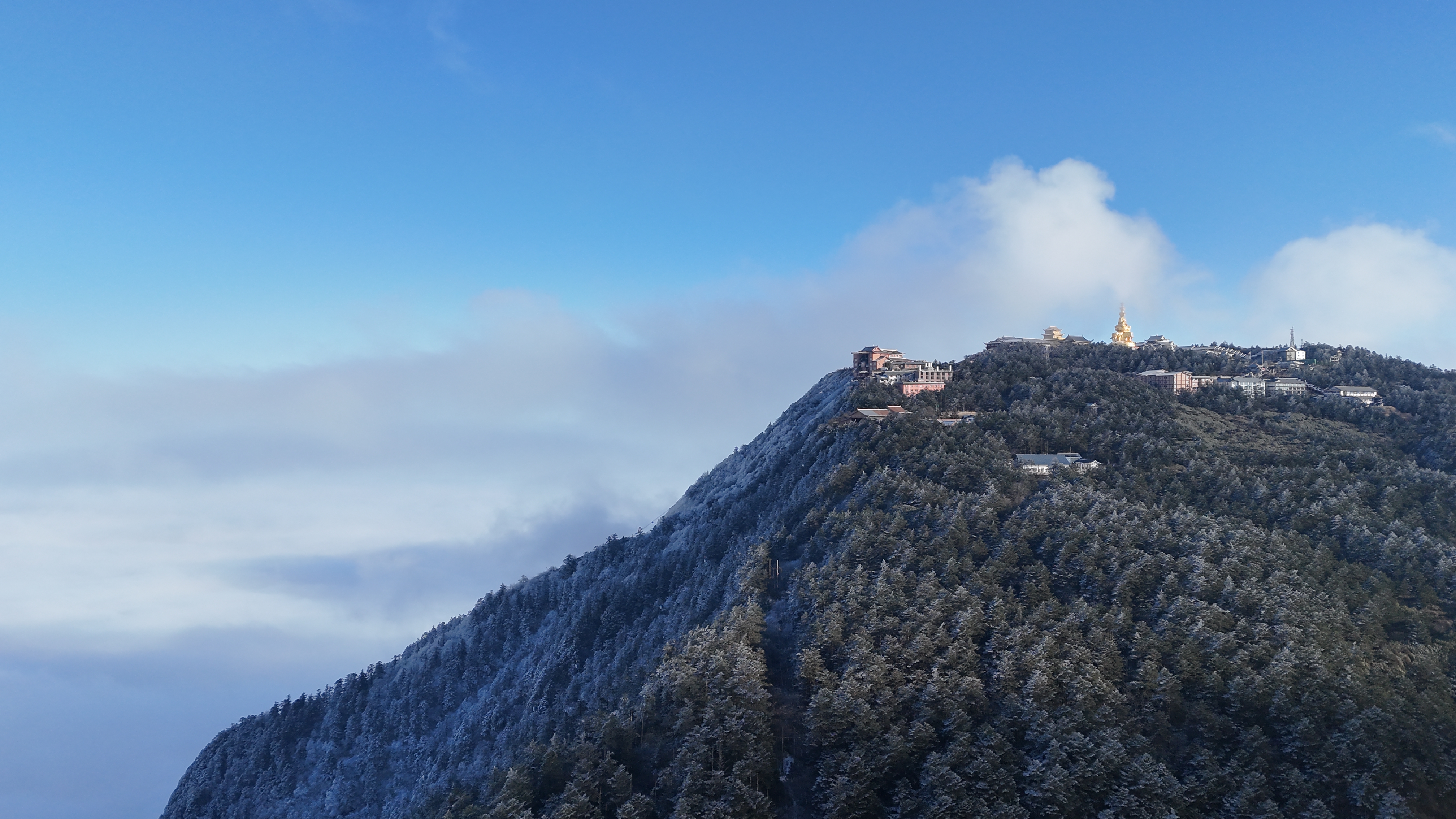 这是我的新壁纸